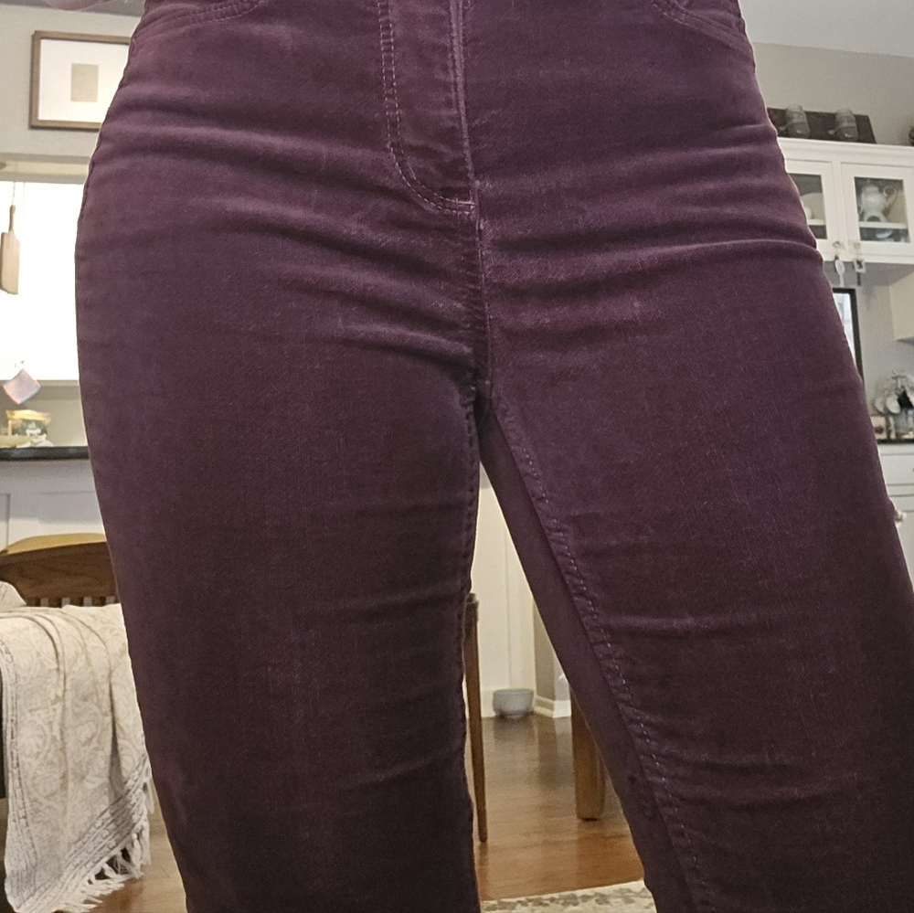 LOFT Maroon Velvet Skinny Pants